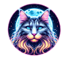 Chat Maine Coon