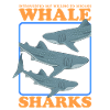 Requin-baleine Requin-baleine Requin-baleine Cadeau