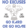 Fitness Gym No Excuses