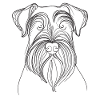Line Art Giant Schnauzer Schnauzers