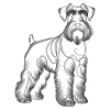 Line Art Giant Schnauzer Schnauzers