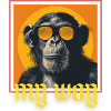 Monkey Sunglasses Cool My Way