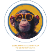 Monkey Sunglasses Cool Saying