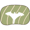 Wingsuit Flying