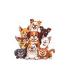 veterinary receptionist, veterinary