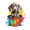Weimaraner Hund Hunderasse