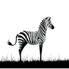 Zebra Minimalism