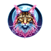 Chat Maine Coon