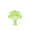 humour brocoli