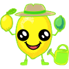 Lemon Lemon
