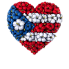 Puerto Rico Flowers Heart
