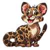 Playful young leopard look