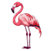 Élégant flamant rose debout