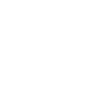 Painter Varnisher