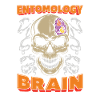 Entomology Entomologist Insect Skull