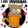 I am invisible