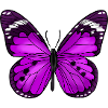 Papillon Violet