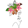 Lady Chocolate