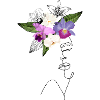 Lady Orchidee