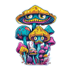 Magic Mushrooms