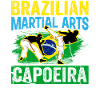 Arts Martiaux brésiliens Capoeira