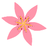 Lily Flower