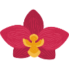 Orchideenblüte