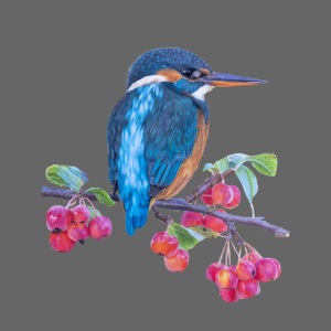 Kingfisher Blue by Rebecca Engels