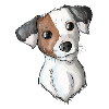 Jack Russell Pattern 8