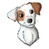 Jack Russell Pattern 7