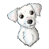 Jack Russell Pattern 2