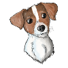 Jack Russell Pattern 4