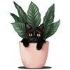 Cat Pot