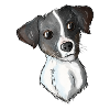 Jack Russell Pattern 5