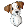 Jack Russell Pattern 2 2