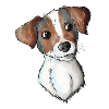Jack Russell Pattern