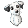 Jack Russell Pattern 6