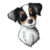 Jack Russell Pattern 3