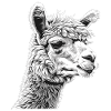 Alpaca Alpakas Alpaka