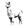 Alpaca Alpacas Alpaca