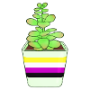 Non Binary Succulent