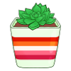Lesbian Succulent