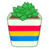 Pan Succulent