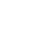 Schmidt