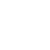 INDOMITABLE
