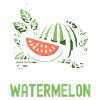 Funny Watermelon Summer