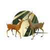 roedeer_01