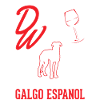 Galgo Espanol and Wine