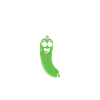 courgette