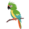 Parrot
